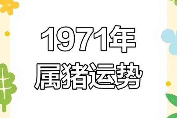 属猪者1992年出生的命运与运势解析