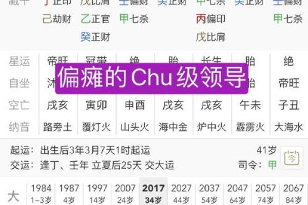 探秘八字命理：戊子癸亥甲戌己巳的命运解析