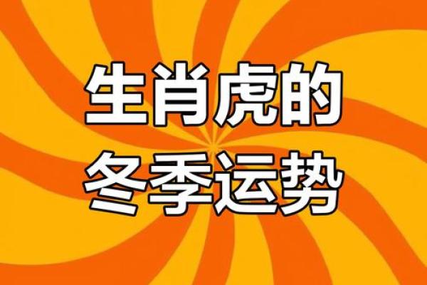 阴历1962年属虎命，生肖虎的运势与性格解析