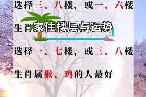 适合25楼的命理解析：从楼层看居住吉凶与运势提升