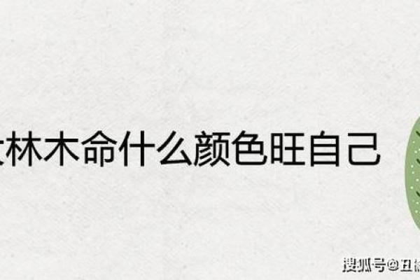 金命与木命开店取名的智慧与技巧