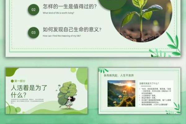 探索生命的意义与命运的辩证关系：在漫漫人生路上的思考与实践
