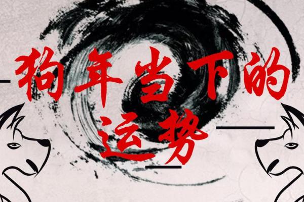 2009年属于什么木命？揭开木命的神秘面纱