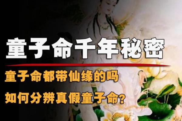 探讨“时真命不假，时假命不真”的深意与哲理