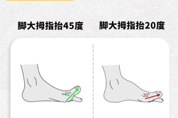 脚趾弯曲的命运：从足部看人生的秘密与启示