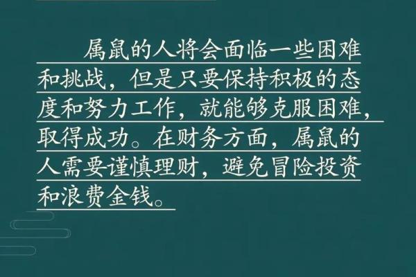 2022年属鼠人命运解析：从机遇到挑战的全景展现！
