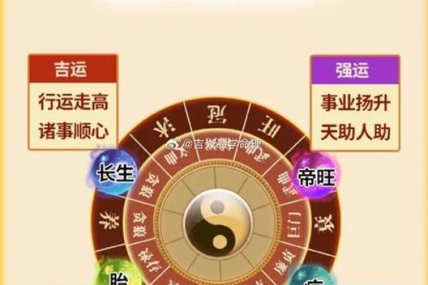 2024年龙命解析：哪些元素缺失，如何弥补运势提升？