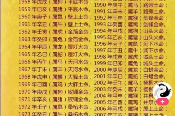 2081年是什么年什么命：探寻未来命运的奥秘