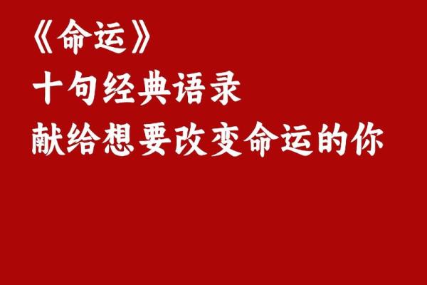 命运的编织：人生从此注定，无可更改的轨迹