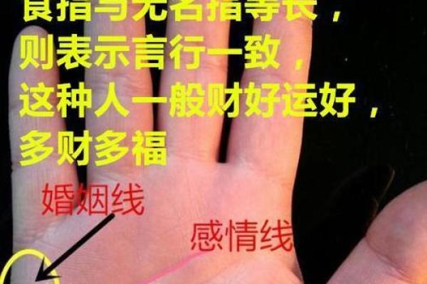 享福命手相：探寻幸福与命运的秘密