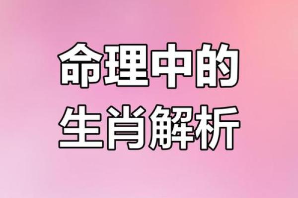 探索1978年属相的命理奥秘：揭示你的生辰密码与运势之路