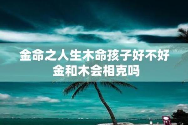 金木相助，父母金命孩子木命的命理之道