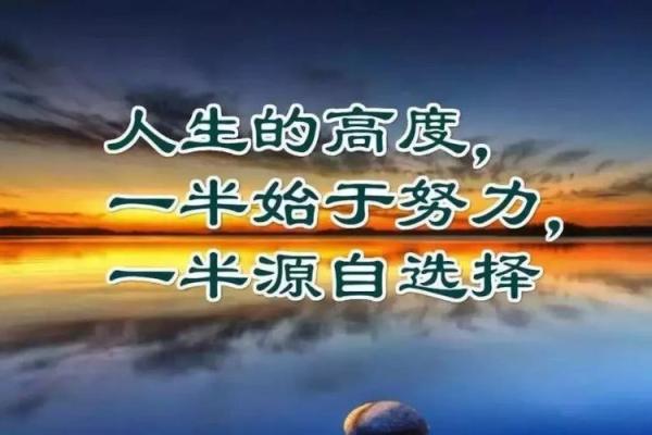 探秘九死一生之命，解读命运的奥秘与人生的挣扎