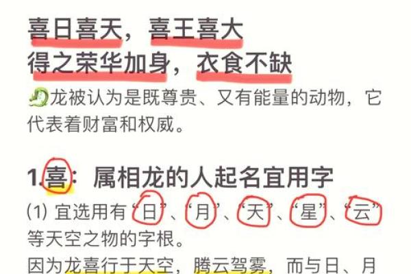 辰龙命的智慧与人生哲学：探索1976年出生者的命理特点与精彩人生