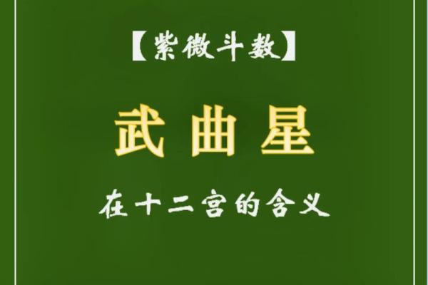 紫薇命盘中的武曲星：探索命主的独特性格与命运轨迹