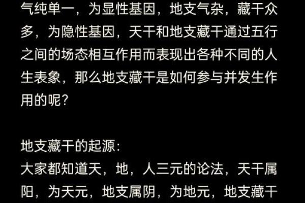 1984年的命运解析：揭示命缺与命理的奥秘