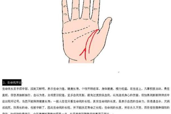 探索“明”字的命理与深意：揭示生活的智慧与启示
