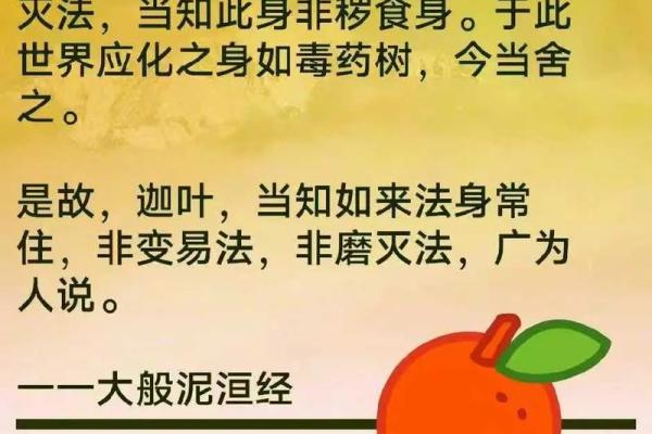 命带杀绝，看似无情，实则蕴藏深刻哲理与人生智慧