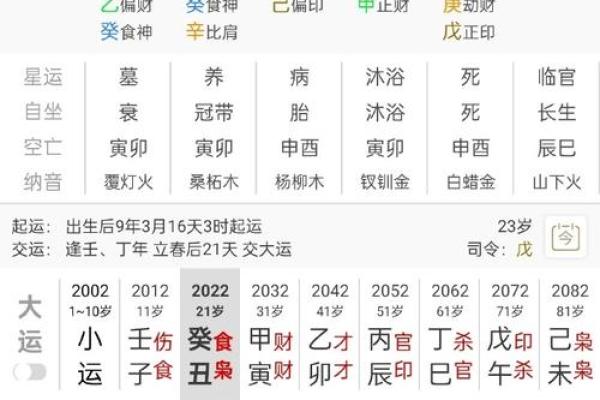 丁丑丁未癸丑庚申命理解析：命中注定的八字之美与人生启示
