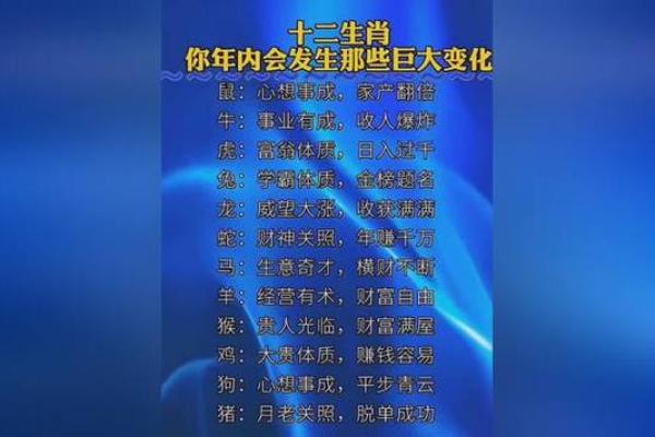 探秘2023属兔年：运势、性格与命理解析