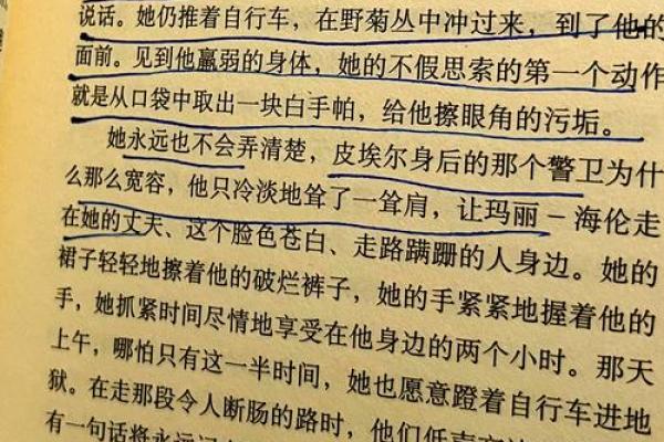 命运之谜：如何通过命理解析你的人生轨迹
