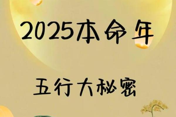一九九年属蛇命：灵巧与智慧的完美结合，探索人生的多彩之旅