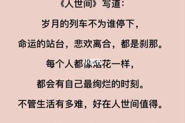 1993年命理解析：岁月与命运的交织之旅