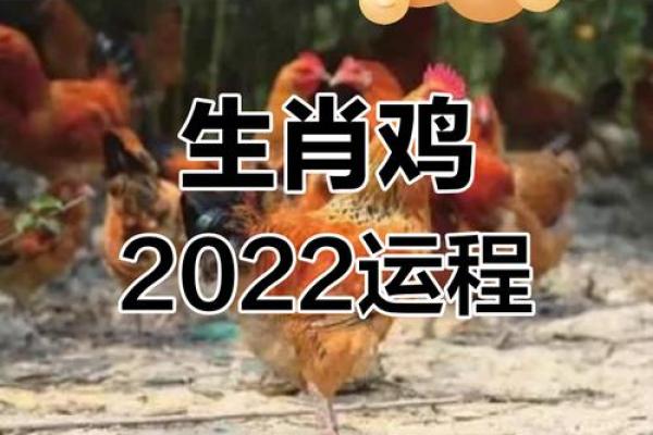 属鸡最旺出生时辰解析：你属于什么命？解密命理玄机！