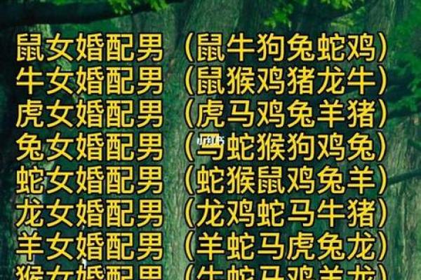 属鸡男命理解析：如何选择最佳命格以提升人生运势