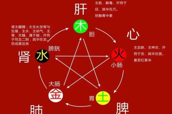 水命类型解析：缺水者的深层次需求与补救措施