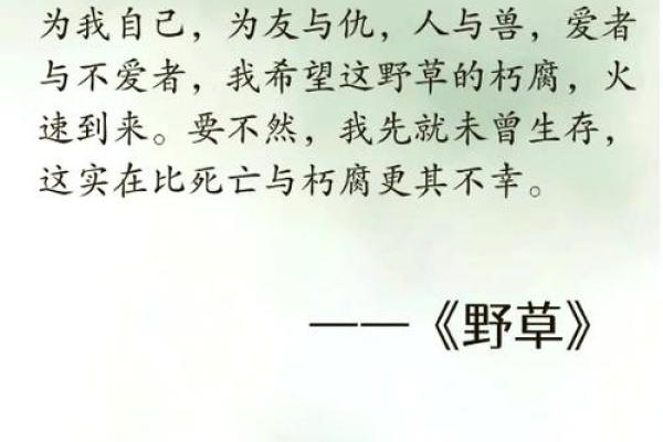 没有爸妈的人是什么命：生命的坚韧与希望