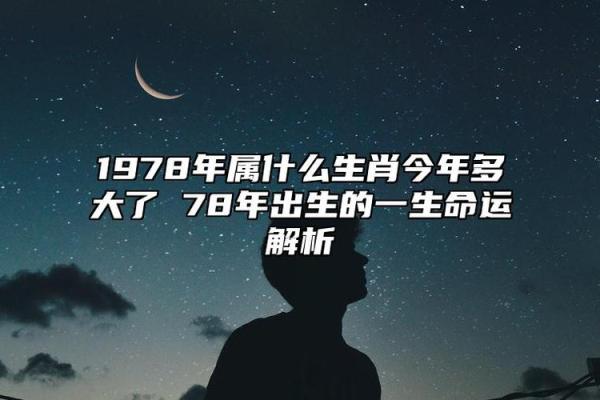 了解1978年属马的生肖与命运：你的人生轨迹如何？