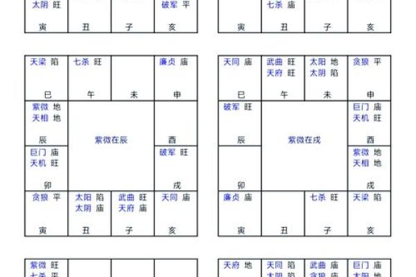 掌握命运，分析命盘：哪些软件能帮助你更好理解自己的命理？