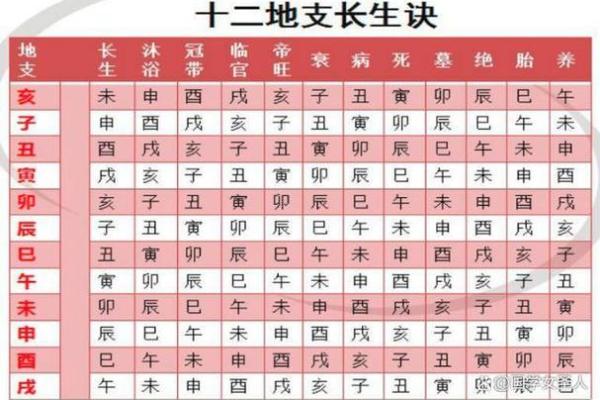 解密命格：身强木命的深意与启示