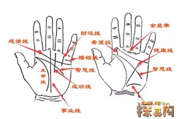 断掌男人的运势与命运解析：如何看透手相的玄机