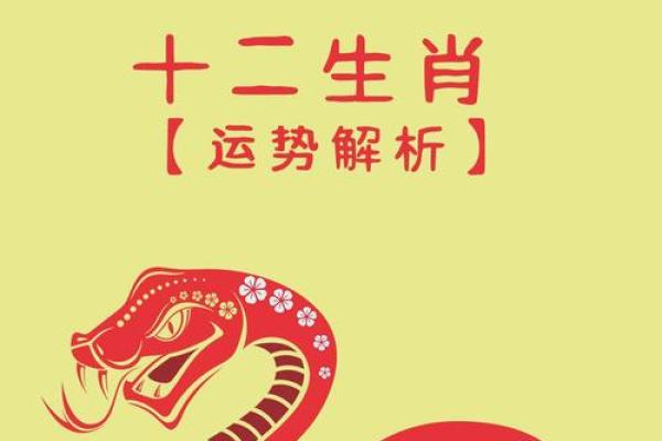 兔年男孩命运与财运：谁是最幸运的？