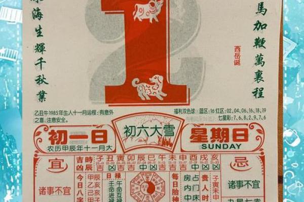 属猪山头火命的最佳穿搭：点亮你的运势与风格