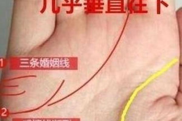 手相揭秘：为何相信命运的线条并不可靠？