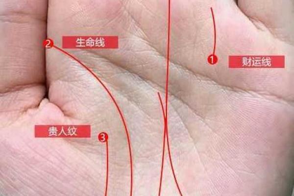 有横纹的人命运解析：人生的秘密在于你的手掌纹理