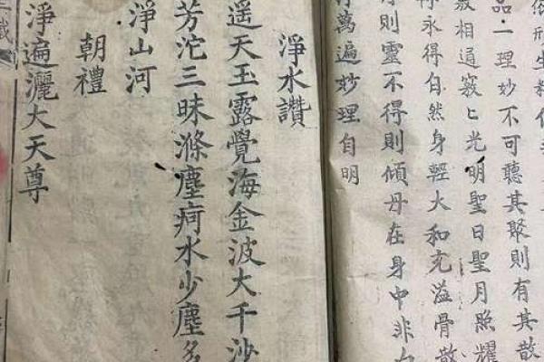 92冬月19生的人命理分析与人生启示