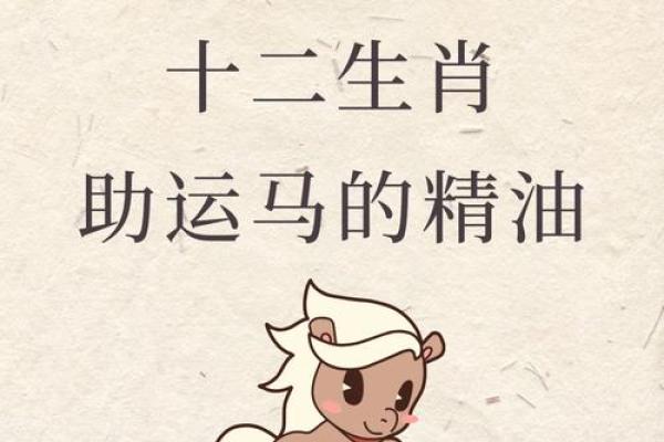 生肖马女孩的命运解析：揭示她们的独特魅力与人生走向