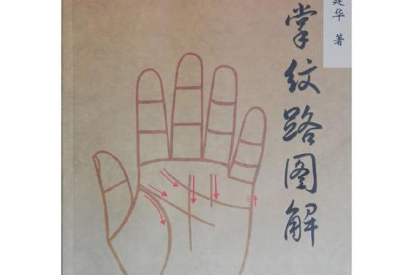 揭示手纹之谜：男孩的命运与纹理的奇妙关系