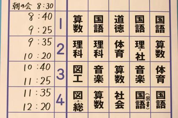 铁扫帚命：解读命理中的特殊寓意与启示