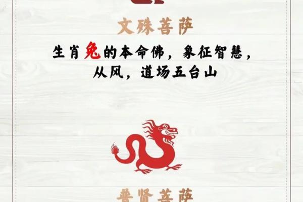 2019本命年，让我们一起探索运势与注意事项