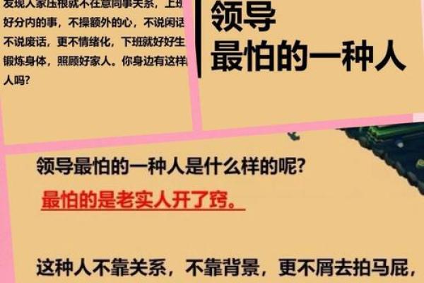 为什么老板命短？揭秘高管生存与职场压力背后的秘密