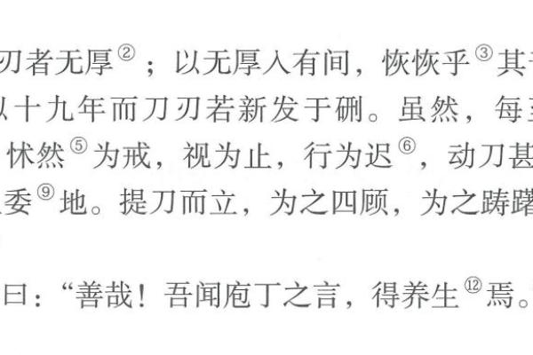命运的书页：翻开成语里的深刻智慧