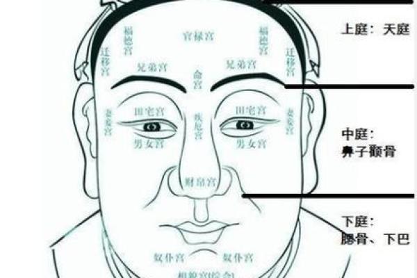 什么脸型对应什么命运？揭秘相学与人生的奇妙关联