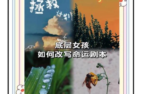 如何从命运中挖掘出非凡潜力的指南