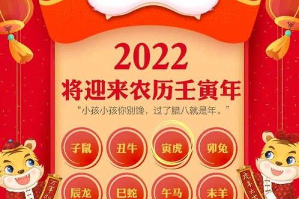 阳历兔年与阴历虎年的命理揭秘，哪些运势更佳？