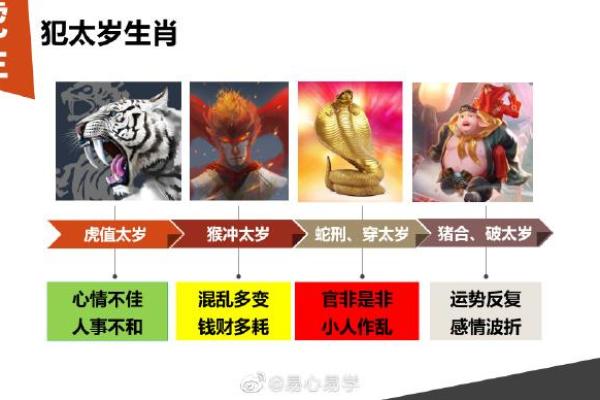 2022年是虎年，揭秘虎年的命理特点与运势分析！